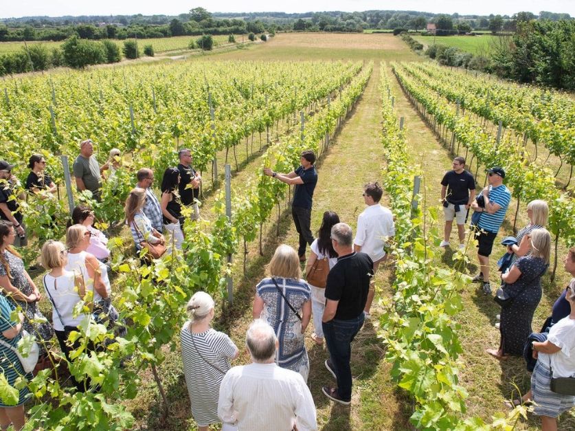 flint vineyard 1